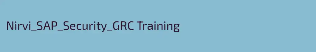 Nirvi_SAP_Security_GRC Training